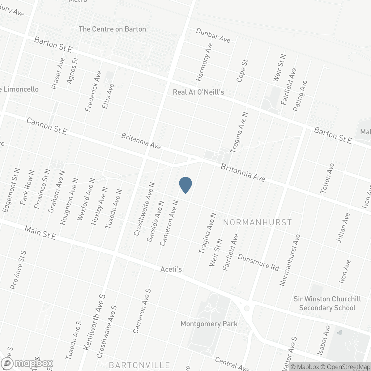 138 CAMERON AVENUE N, Hamilton, Ontario L8H 4Z3